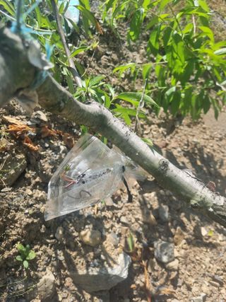 김용대님의 자유주제 · 자유게시판 작성글 사진