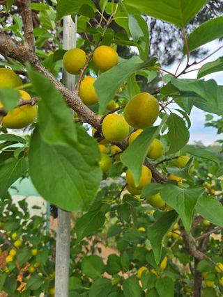 자연인님의 자유주제 · 자유게시판 작성글 사진