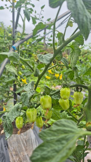 이애숙님의 자유주제 · 자유게시판 작성글 사진