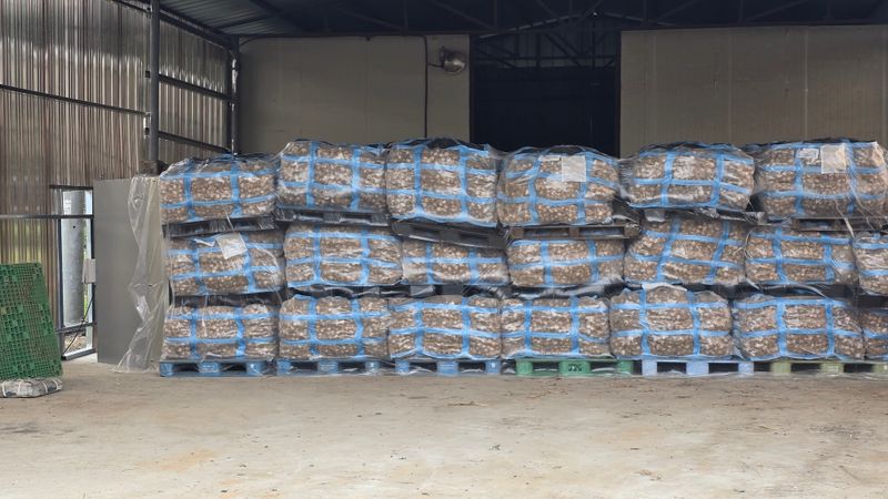 장터 상품 [마늘 50톤] 썸네일