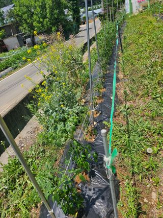 황궁양원님의 자유주제 · 자유게시판 작성글 사진