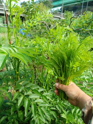 산성골농장님의 자유주제 · 자유게시판 작성글 사진