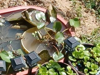 산성골농장님의 자유주제 · 자유게시판 작성글 사진