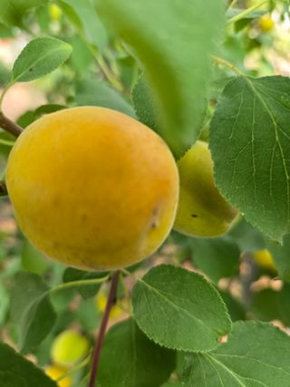 자연인님의 자유주제 · 자유게시판 작성글 사진