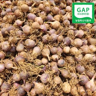 조한솔님의 작성글 사진