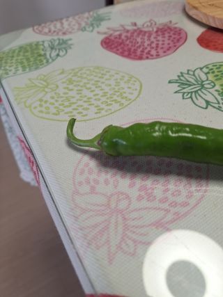 정나라님의 농사, 무엇이든 물어보세요! · 참여글 작성글 사진