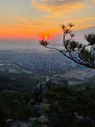 제주농부님의 자유주제 · 사진전 작성글 사진
