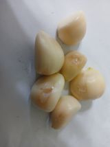 팜모닝 자유주제·자유게시판 게시글 이미지