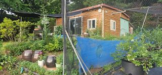 모란님의 작성글 사진