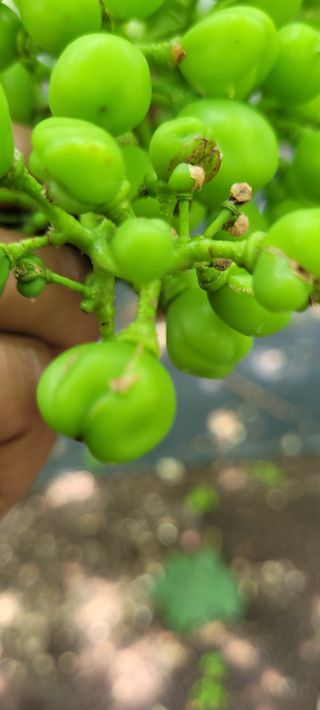 박경림님의 자유주제 · 자유게시판 작성글 사진