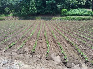 김명수님의 작성글 사진