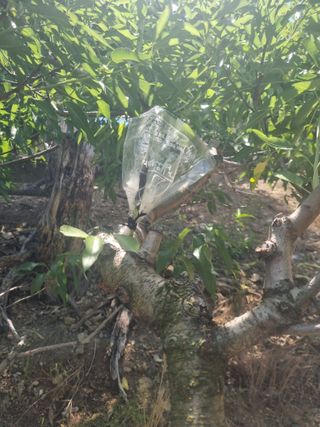 김용대님의 자유주제 · 자유게시판 작성글 사진