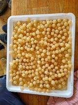 팜모닝 자유주제·자유게시판 게시글 이미지