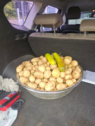 호박12662님의 자유주제 · 사진전 작성글 사진