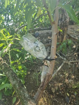 김용대님의 자유주제 · 자유게시판 작성글 사진