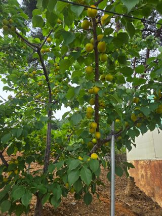 자연인님의 자유주제 · 자유게시판 작성글 사진