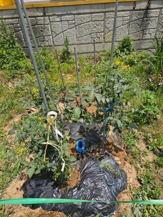 황궁양원님의 자유주제 · 자유게시판 작성글 사진