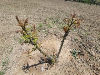 리얼팜님의 자유주제 · 자유게시판 작성글 사진