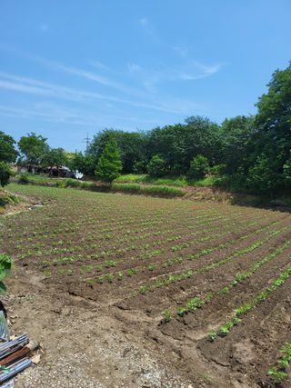 김명수님의 작성글 사진