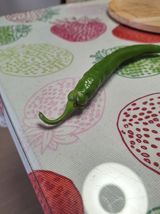 팜모닝 농사, 무엇이든 물어보세요!·참여글 게시글 이미지