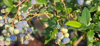 모란님의 작성글 사진