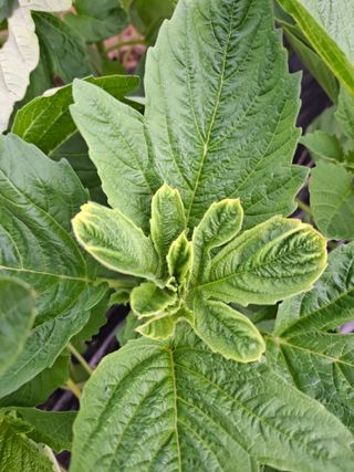 초보굴백이님의 자유주제 · 자유게시판 작성글 사진