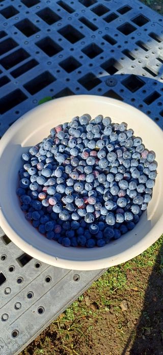 이강재님의 자유주제 · 자유게시판 작성글 사진