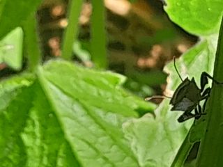 김민수산에서농사중님의 자유주제 · 자유게시판 작성글 사진