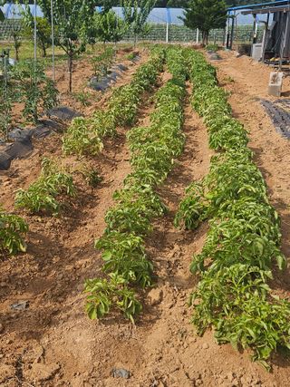 호박12662님의 자유주제 · 사진전 작성글 사진