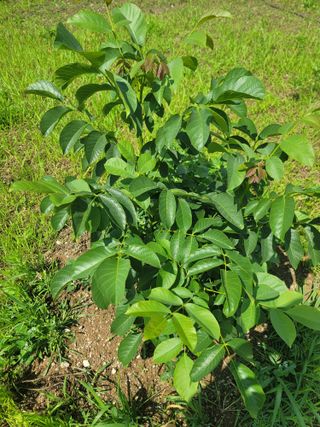 리얼팜님의 자유주제 · 자유게시판 작성글 사진
