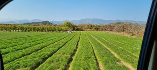 홀로서기님의 자유주제 · 자유게시판 작성글 사진