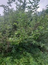 팜모닝 자유주제·자유게시판 게시글 이미지