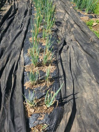 farmer님의 자유주제 · 자유게시판 작성글 사진