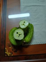 팜모닝 농사, 무엇이든 물어보세요!·참여글 게시글 이미지