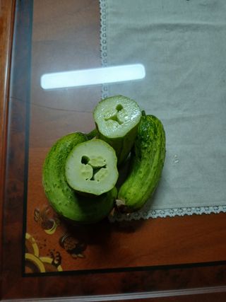 농사왕초보농부님의 농사, 무엇이든 물어보세요! · 참여글 작성글 사진