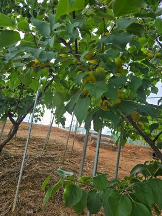 자연인님의 자유주제 · 자유게시판 작성글 사진