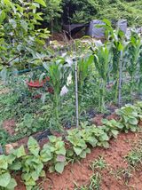 팜모닝 자유주제·자유게시판 게시글 이미지