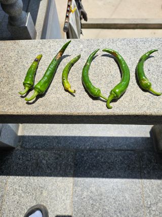 충남공주이도은님의 자유주제 · 자유게시판 작성글 사진