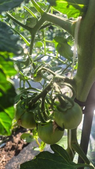 이애숙님의 자유주제 · 자유게시판 작성글 사진