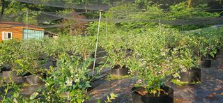 모란님의 작성글 사진