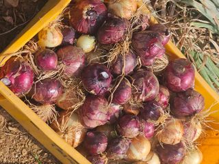 호박12662님의 자유주제 · 사진전 작성글 사진