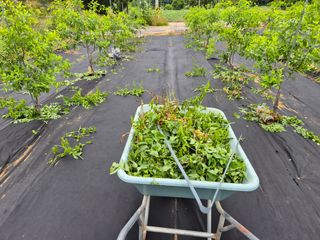 전홍열님의 자유주제 · 자유게시판 작성글 사진