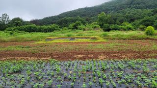 권리를위한투쟁님의 자유주제 · 자유게시판 작성글 사진