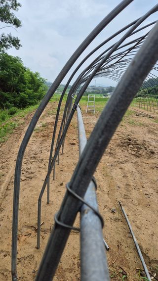 모산소나무님의 자유주제 · 자유게시판 작성글 사진