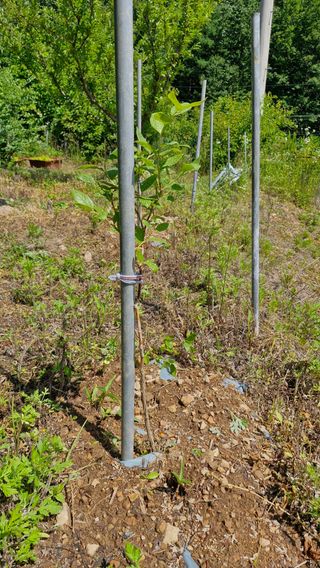 정석구님의 자유주제 · 자유게시판 작성글 사진