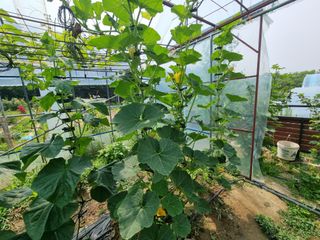 원인호님의 자유주제 · 자유게시판 작성글 사진