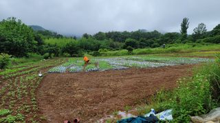 권리를위한투쟁님의 자유주제 · 자유게시판 작성글 사진