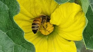 여우내 이순홍님의 자유주제 · 자유게시판 작성글 사진