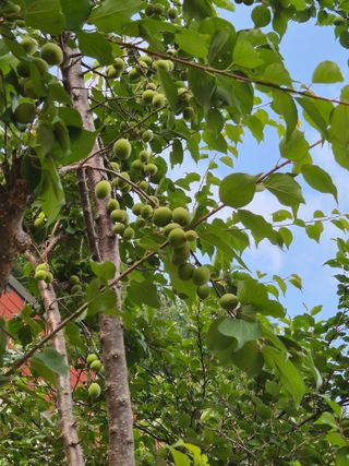 손동현님의 자유주제 · 자유게시판 작성글 사진