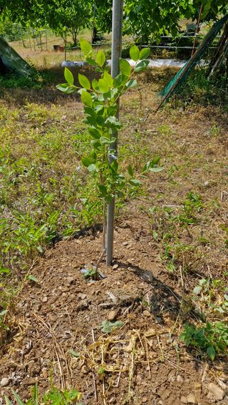 정석구님의 자유주제 · 자유게시판 작성글 사진